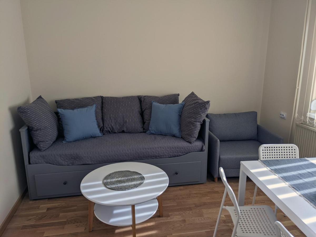Affordable And Newly Renovated 1-Bedroom Apartment Kraljevo Bagian luar foto
