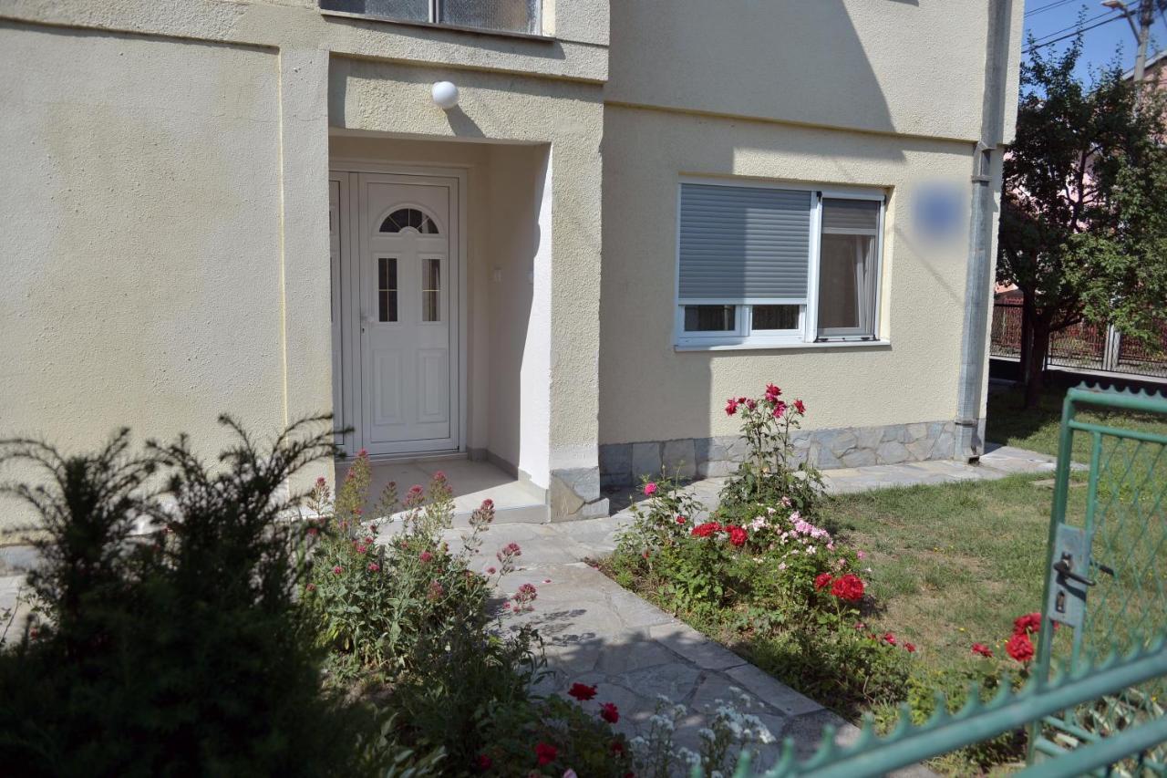 Affordable And Newly Renovated 1-Bedroom Apartment Kraljevo Bagian luar foto